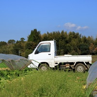 中古トラックには用途に合わせて様々な形状がある