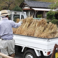 中古トラックの重量（トン）ごとの用途